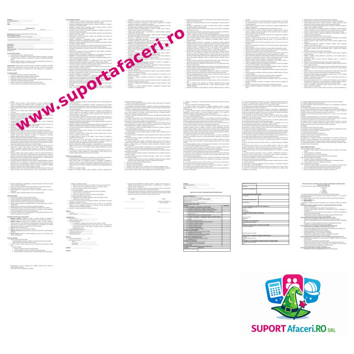 Fișa postului Președinte instituție publică – model editabil DOC