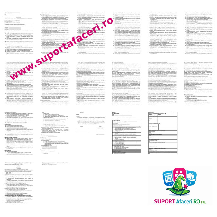 Fișa postului Însoțitor de bord – model editabil DOC