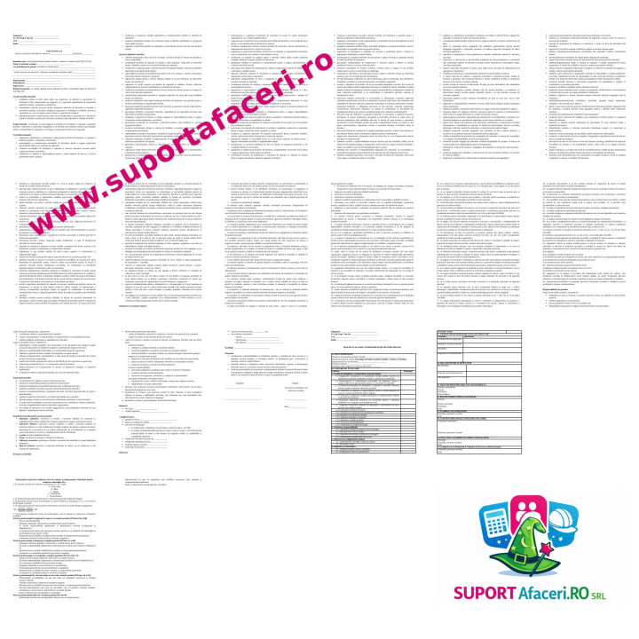 Fișa postului Șef echipă întreținere poduri metalice, viaducte și tuneluri – model editabil DOC
