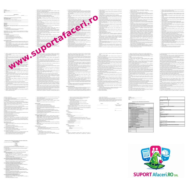 Fișa postului Director departament informatică – model editabil DOC