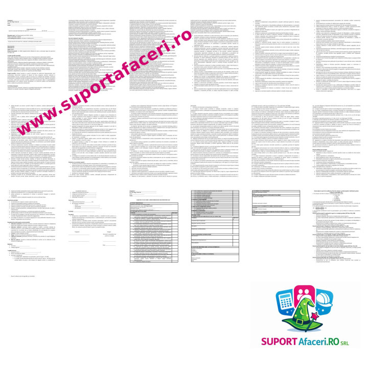 Fișa postului Șef departament – model editabil DOC