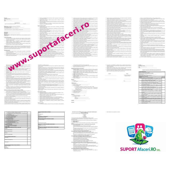 Fișa postului Consultant de securitate – model editabil DOC