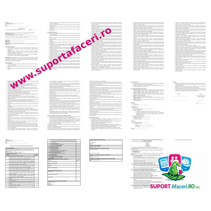 Fișa postului Expert în relații economice internaționale – model editabil DOC