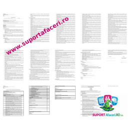 Fișa postului Consultant în management – model editabil DOC