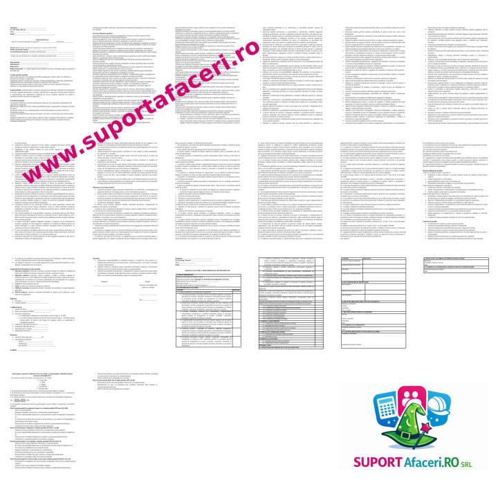 Fișa postului Manager al sistemului de management al riscului – model editabil DOC