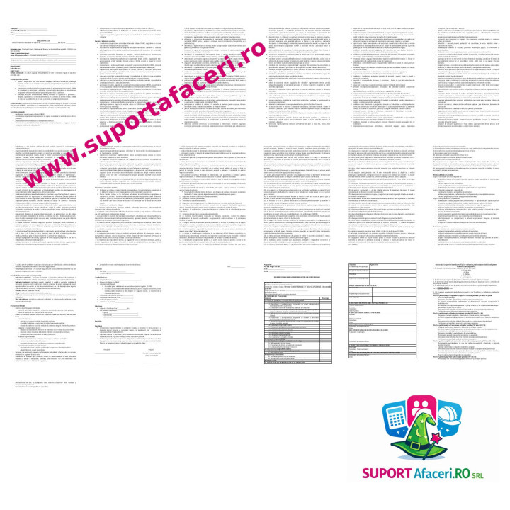 Fișa postului Director centrul județean de resurse și asistență educațională (cjrae) – model editabil DOC